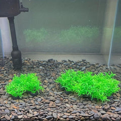 5pcs Pet Aquarium Plants Small Plastic Artificial Mini Grass Set