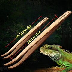 Reptile Feeding Clip for Tortoise Lizard Frog Spider