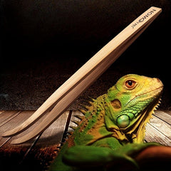 Reptile Feeding Clip for Tortoise Lizard Frog Spider