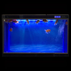 Aquarium Background Poster 2 Sides Glossy Fish Tank Decorative Backdrop