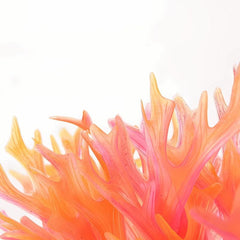 Artificial Coral Plant Ornaments for Aquarium Decoration