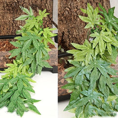 Aquatic Plant Reptile Fish Tank Artificial Plastic Leaves Decor