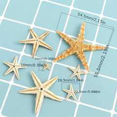 20pcs Natural Starfish Sea Shell Conch Fish Tank Decoration Ornaments