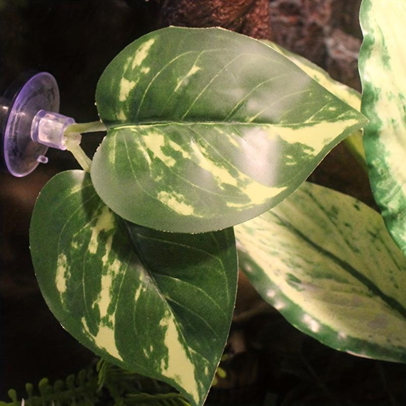 Large Reptile Hiding Place & Visual Barrier for Vivarium