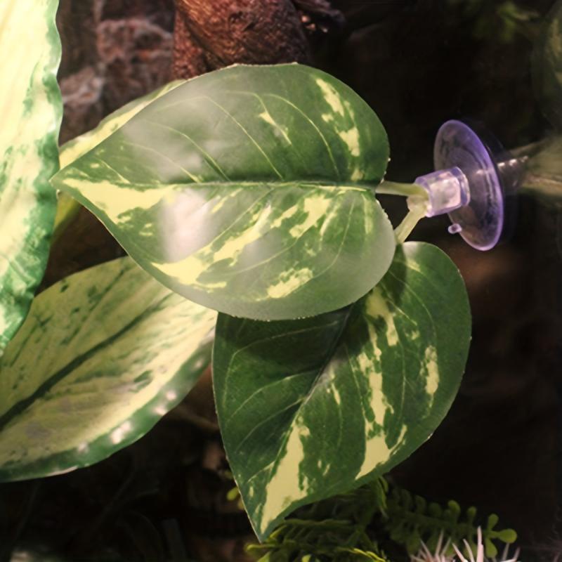 Large Reptile Hiding Place & Visual Barrier for Vivarium