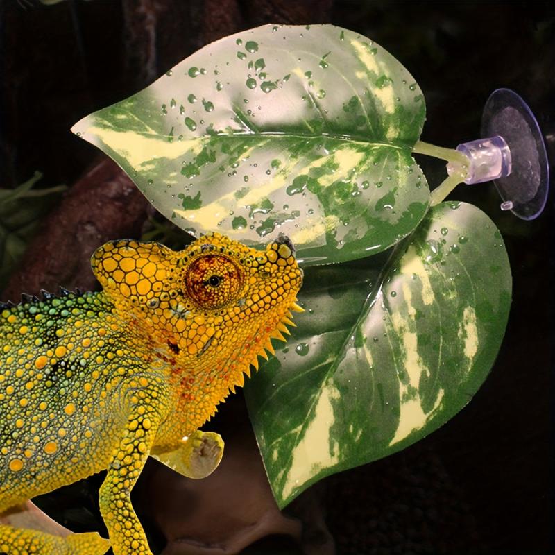 Large Reptile Hiding Place & Visual Barrier for Vivarium