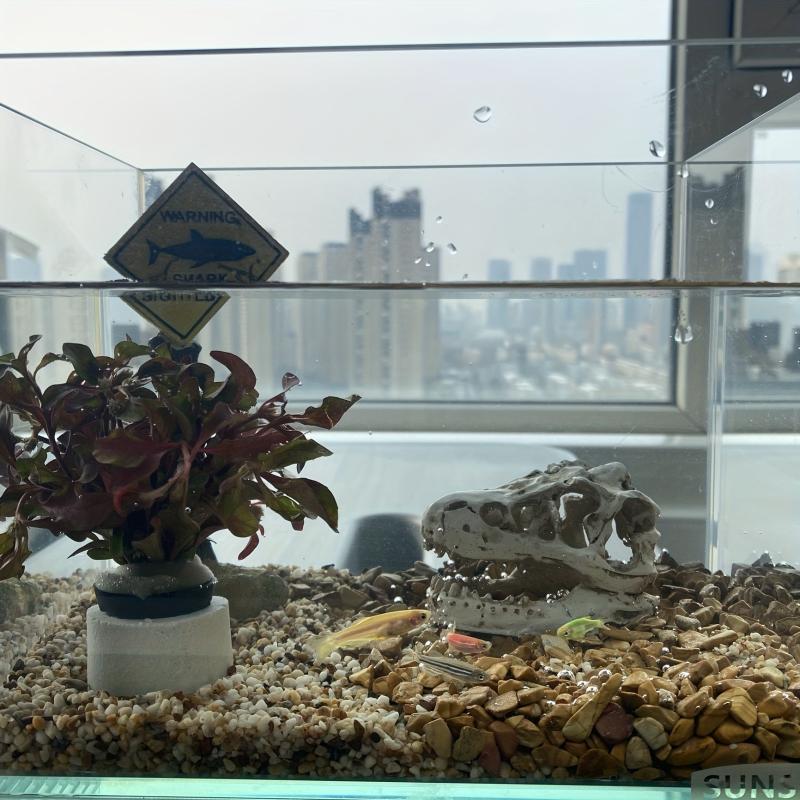 Dinosaur Skull Aquarium Ornament Mini Mold Decoration Tank Reptile