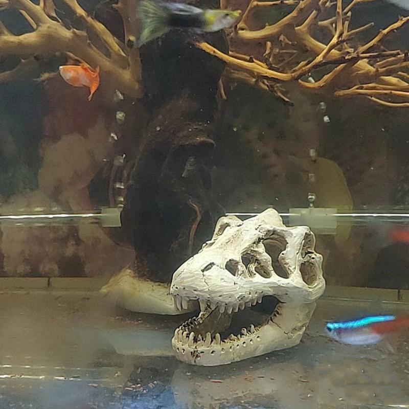 Dinosaur Skull Aquarium Ornament Mini Mold Decoration Tank Reptile
