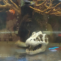 Dinosaur Skull Aquarium Ornament Mini Mold Decoration Tank Reptile