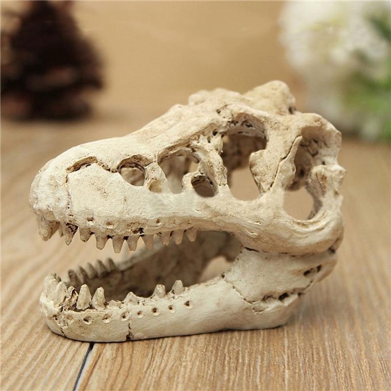 Dinosaur Skull Aquarium Ornament Mini Mold Decoration Tank Reptile