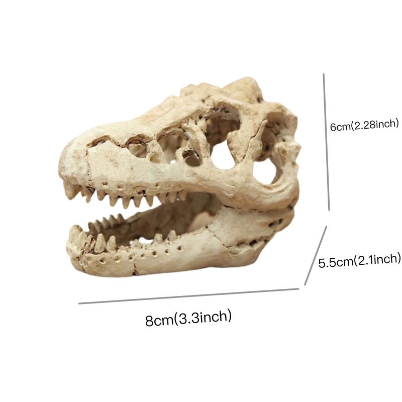 Dinosaur Skull Aquarium Ornament Mini Mold Decoration Tank Reptile