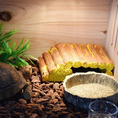 2pcs Reptile Water And Food Bowls for Lizards, Bearded Dragons, Snakes