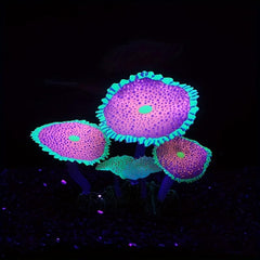 Enhance Your Tank with Soft Sunflower Corals & Anemones
