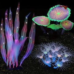 Enhance Your Tank with Soft Sunflower Corals & Anemones