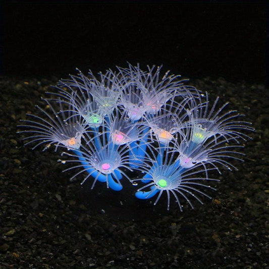 Enhance Your Tank with Soft Sunflower Corals & Anemones