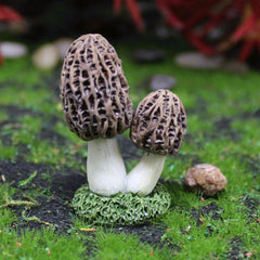 Mini Mushroom and Snail Figurines for Aquarium Decoration