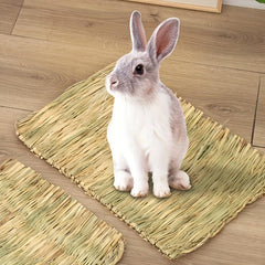 Pet Grass Mat For Hamster Rabbit Dutch Pig Grind Teeth Grass Nest
