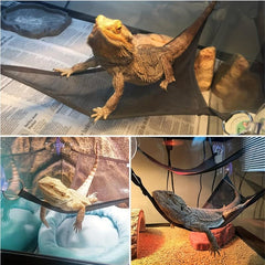 Triangular Lizards Hammock Bed with Suction Cups