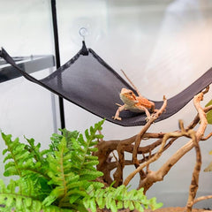 Triangular Lizards Hammock Bed with Suction Cups