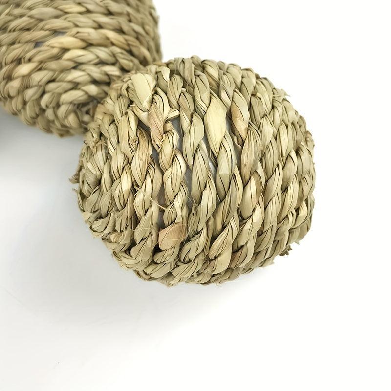 Chew Toy for Small Animals - Promotes Dental Health and Keeps Pets Entertained