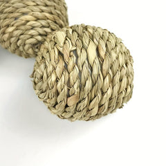 Chew Toy for Small Animals - Promotes Dental Health and Keeps Pets Entertained