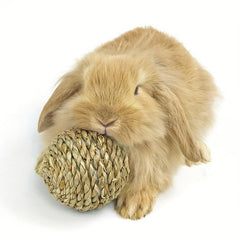 Chew Toy for Small Animals - Promotes Dental Health and Keeps Pets Entertained