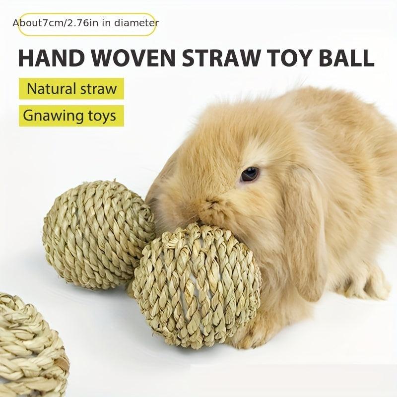 Chew Toy for Small Animals - Promotes Dental Health and Keeps Pets Entertained