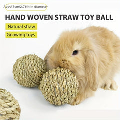 Chew Toy for Small Animals - Promotes Dental Health and Keeps Pets Entertained