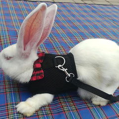 Adjustable Rabbit Harness for Outdoor Adventures
