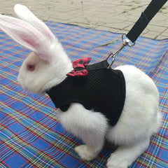 Adjustable Rabbit Harness for Outdoor Adventures