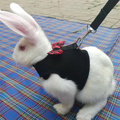 Adjustable Rabbit Harness for Outdoor Adventures