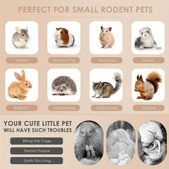 Rabbit Chew Toy Hanging Rattan Ring Snack Guinea Pigs Hamsters