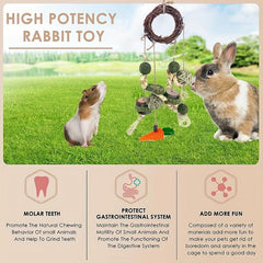 Rabbit Chew Toy Hanging Rattan Ring Snack Guinea Pigs Hamsters