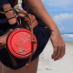 Silicone Portable Foldable Puppy Feeding Bowl For Outdoor Dog Feeder