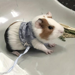 Small Pet Leash Harness Set for Guinea Pig Hamster Rabbit