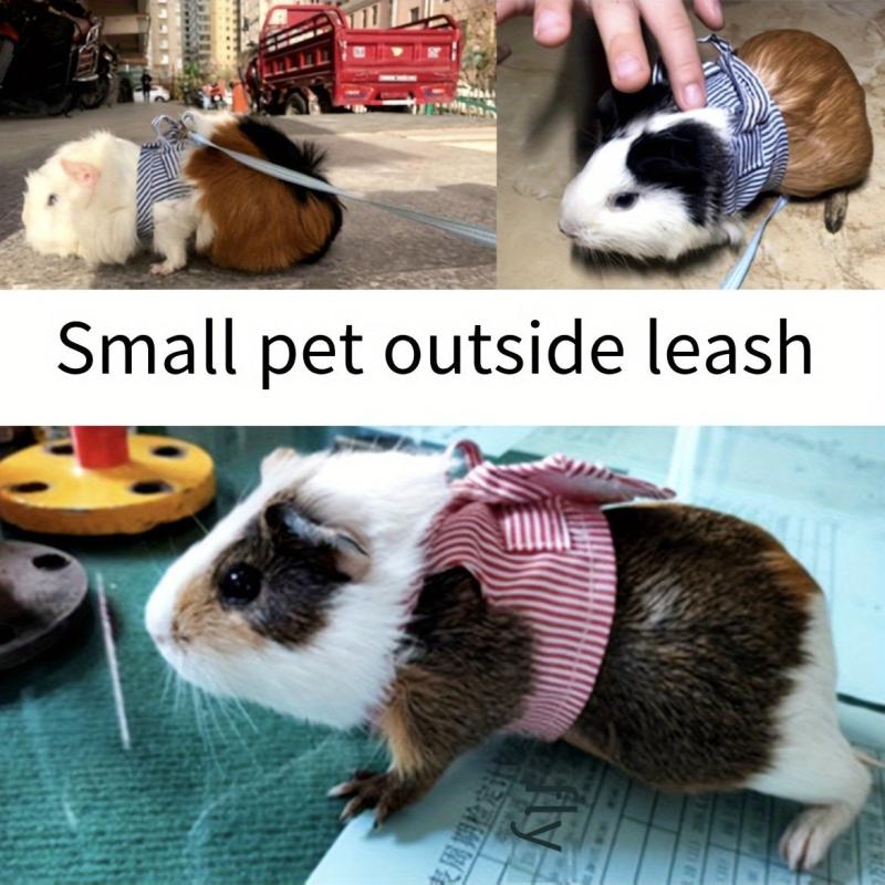 Small Pet Leash Harness Set for Guinea Pig Hamster Rabbit