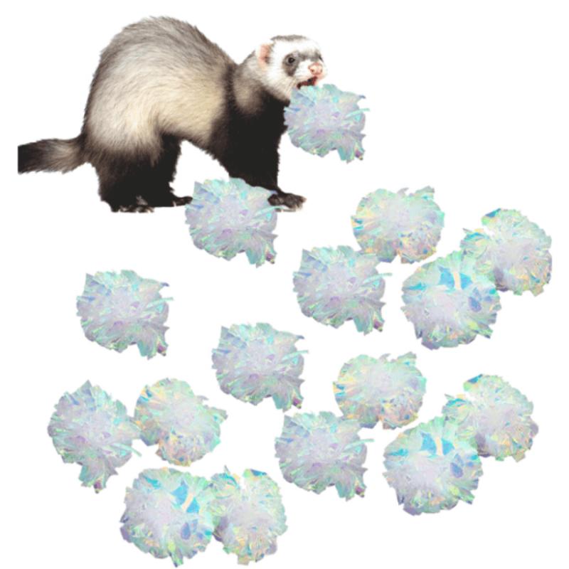 24 pcs Ferret Mylar Crinkle Balls Soft Durable Toys Indoor Play Exercise