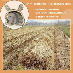 Natural Grass Hideaway Hut for Small Animals