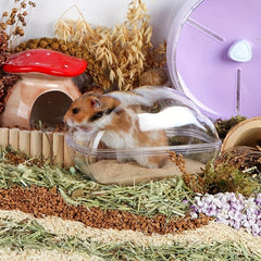 Clear Hamster Sand Bath Container with Spoon u2013 Small Animal Bathroom