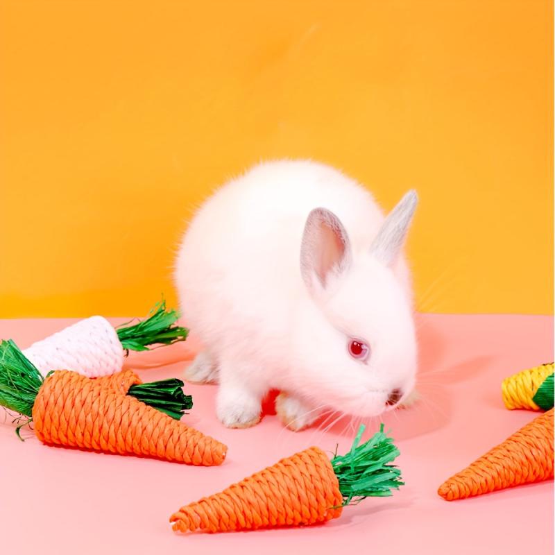 Carrot Rabbit Chew Toy For Small Animal Play