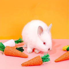 Carrot Rabbit Chew Toy For Small Animal Play