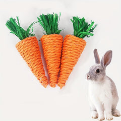 Carrot Rabbit Chew Toy For Small Animal Play