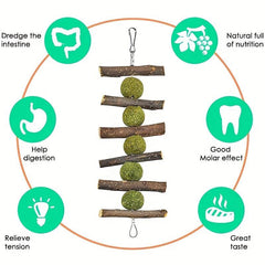 10pcs Rabbit Guinea Pig Bunny Chew Toys For Teeth Grinding Cage Hanging Toy