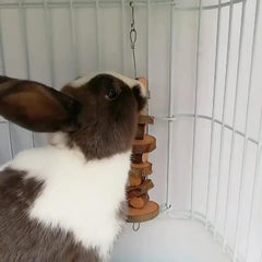 8 Piece Pet Teething Toy Set Wooden & Rattan Balls for Small Animals