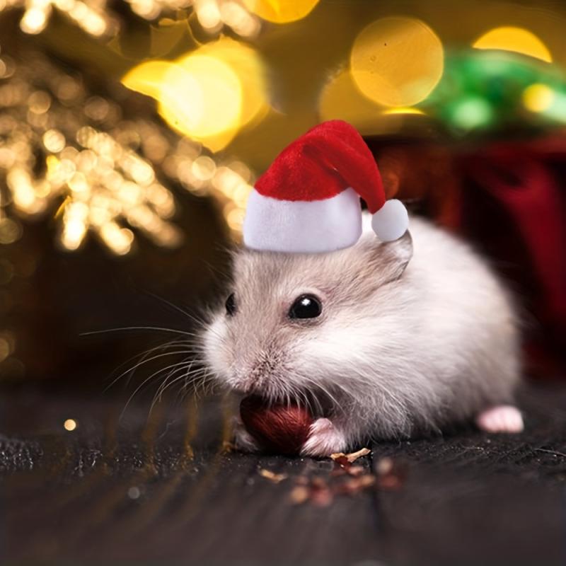 Hamster Hat Little Red Christmas Riding Hood Small Pet Headdress
