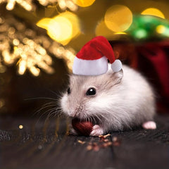 Hamster Hat Little Red Christmas Riding Hood Small Pet Headdress