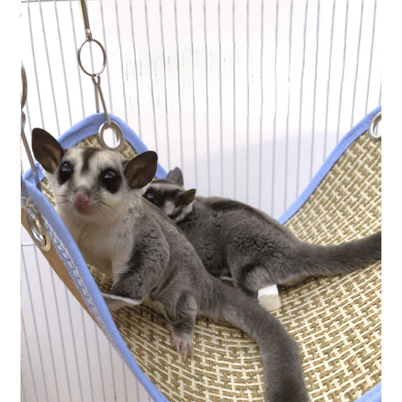 Small Pet Cozy Hammock Bed with Flower Branch, Natural Look & Feel