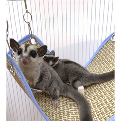 Small Pet Cozy Hammock Bed with Flower Branch, Natural Look & Feel