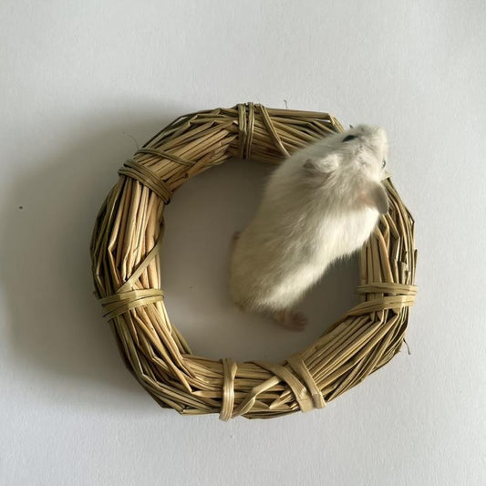 Small Pet Teething Straw Rings, Grass Rings, Chewing Toys
