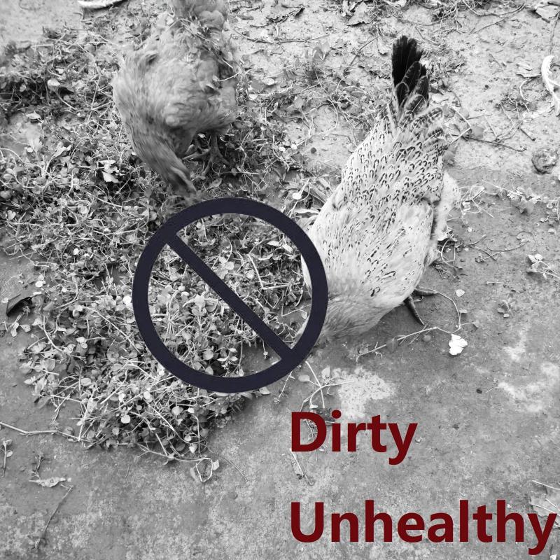 Farm Animal Food Feeding Skewer with Fruit Holder and Veggies Bag